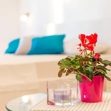 Apartamento Studio Romantic P *
